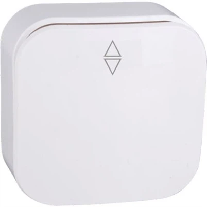 Care sunt avantajele prizelor de întrerupător cu montare aparentă din ABS?